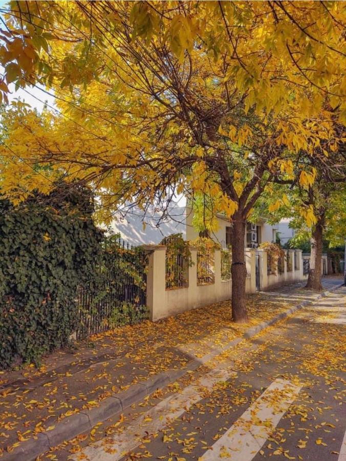 Charming Place Cotroceni Bucureşti Eksteriør bilde